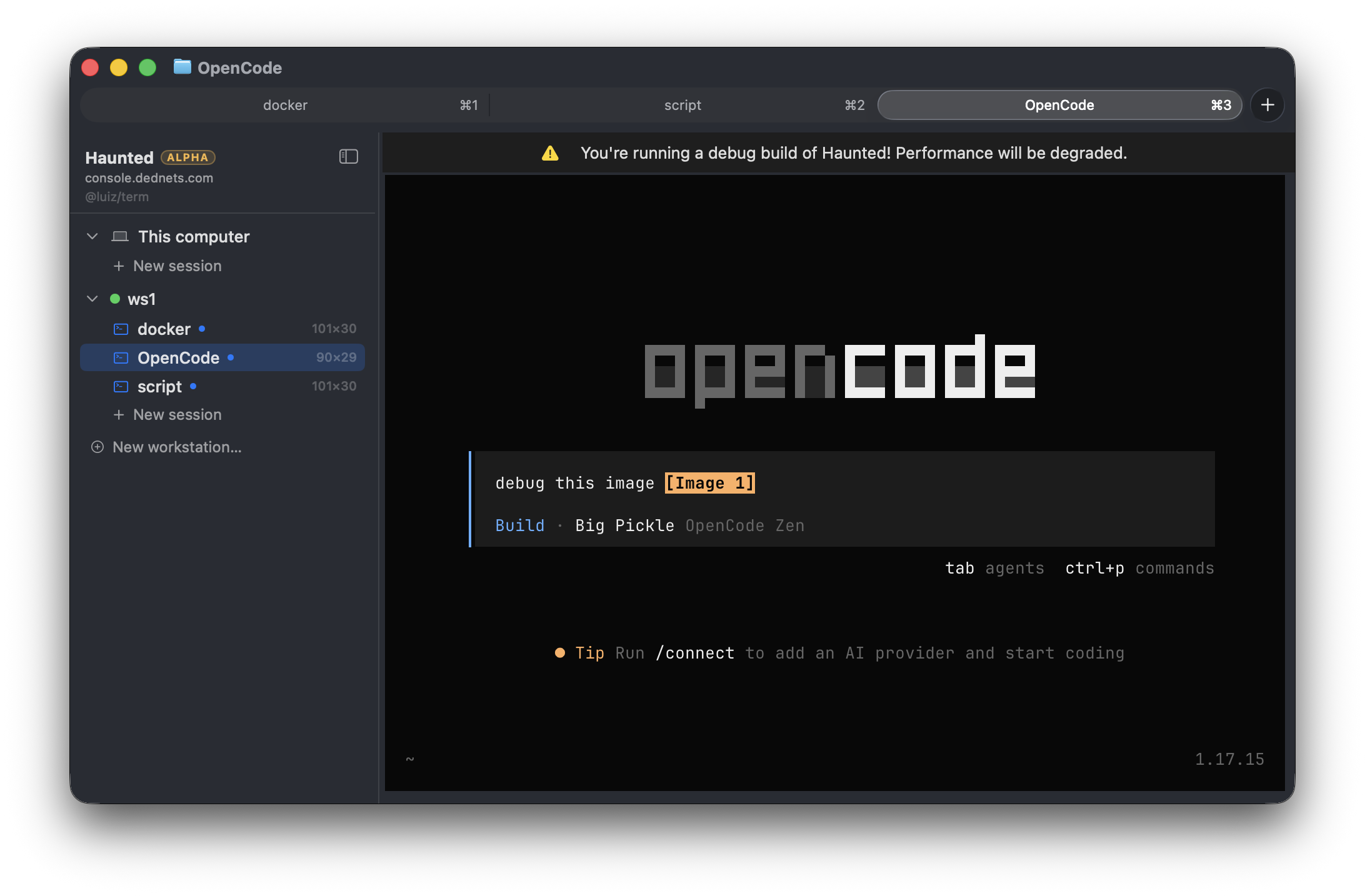 The Haunted terminal app: a workstation sidebar with persistent docker, OpenCode, and script sessions, attached over DedNets.